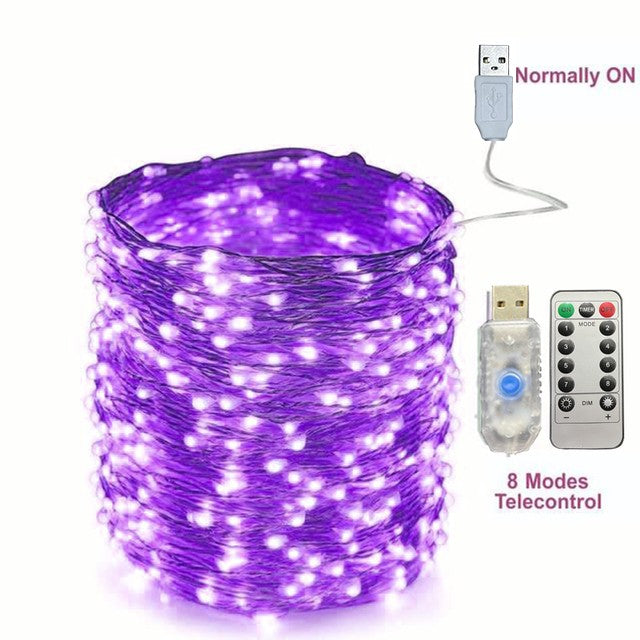 2/5/10/20/30M USB Fairy String Lights LED Sliver Wire Lights With 8 Lighting Modes Remote Control For Bedroom Christmas Decor