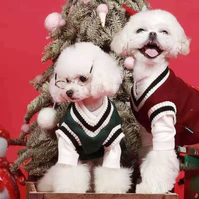 Suéter de Inverno Quentinho para Cães Estilo Colegial Gola V Tricô para Filhotes de Pequeno Porte Colete Roupinhas Jaqueta para Gatinhos