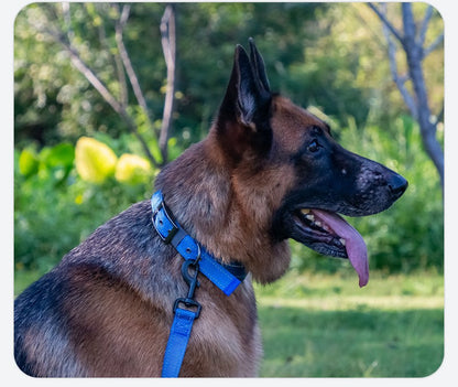 Coleira de cachorro para ambientes externos Fivela de metal Coleira de nylon respirável Coleira de pescoço de alta qualidade para cães de médio e grande porte