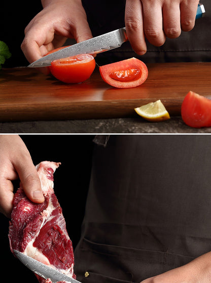XITUO Damascus Steel Knife Set 1-9PCS Japanese Chef Knife, Santoku, Bread, Utility & Boning Knives-Ultra Sharp, Octagonal Handle