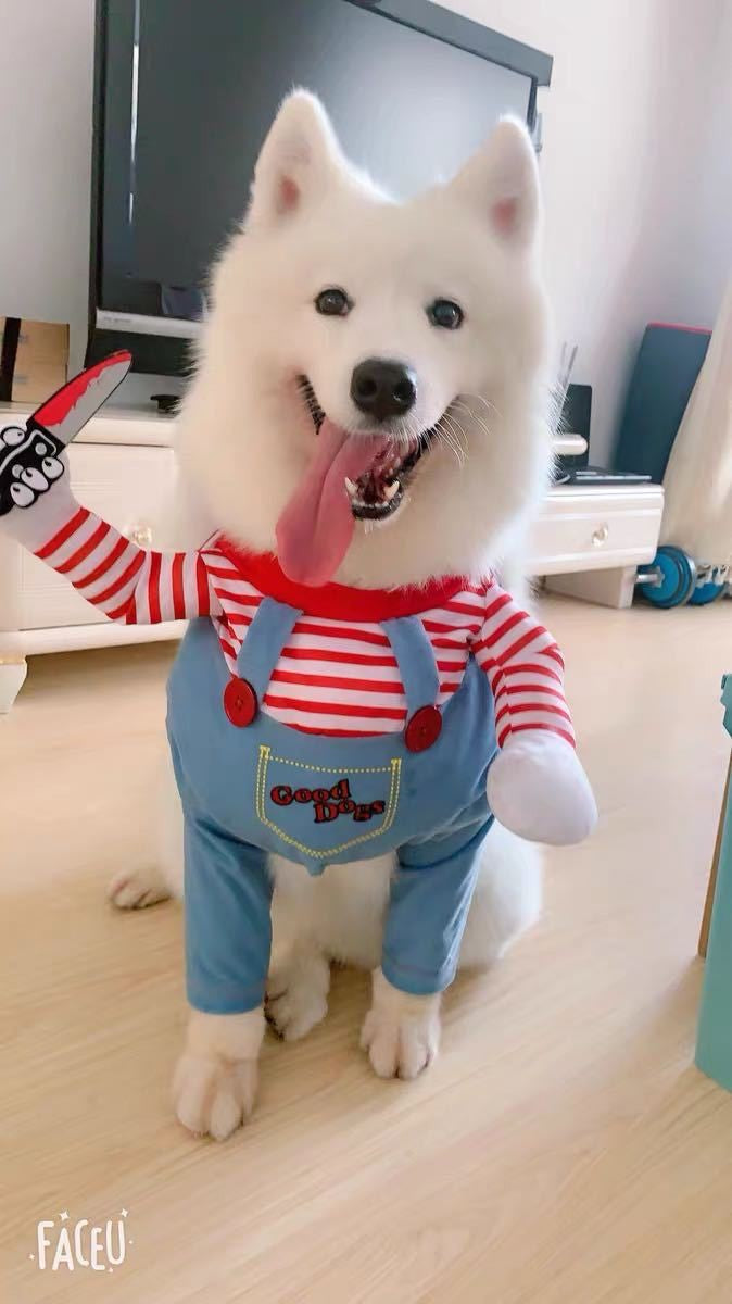 Fantasia de Halloween para Pets Vestido para Cães Pequenos e Médios – Roupa Divertida e Estilosa para Cães Gatos Brincarem com Roupas Engraçadas