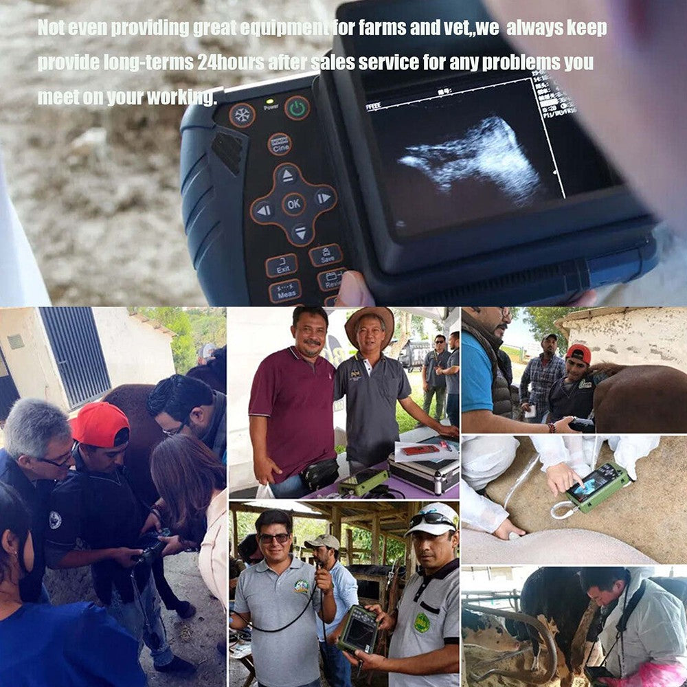 Scanner de ultrassom veterinário portátil DAWEI Máquina veterinária portátil de gestação para cavalos, gado, camelos, sonda retal de 3,5 MHz