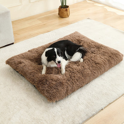 Casa com Cama Macia para Cachorros, Pelúcia Longa e Macia, Melhor Cama para Cães, Cesto para Cães, Produtos para Animais de Estimação, Almofada para Gatos, Tapete para Gatos, Sofá para Dormir de Animais.