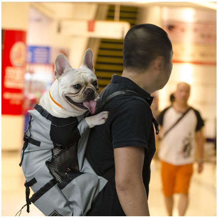 Mochila de Transporte para Cães de Estimação para Caminhada, Viagem, Ventilação Externa, Respirável, Bicicleta, Motocicleta, Esportes ao Ar Livre, Bolsa de Malha, Drop Shipping