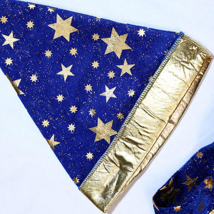 Halloween Wizard Costume Velvet Long Robe Blue Gold Star Print Cloak With Pointed Hat Adult Cosplay Fancy Party Dress Up Outfit