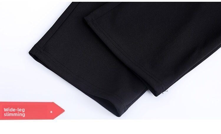 Bla Straight Leg Work Pants Women's Autumn Winter Spring Profional Suit Pants Slimming Formal Long Trousers for Office