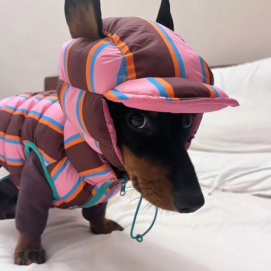 Casaco de Algodão Quente de Inverno Para Cães Pequenos e Médios Filhotes Bichon Teddy Colete Colorido Casaco Jaqueta Roupa de Natal Quente Para Animais de Estimação