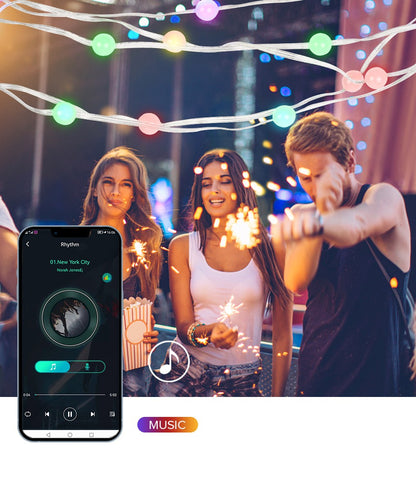 USB Christmas Lights String 5m 10m Bluetooth Music APP Remote DC5V WS2812B Party Wedding Garden Backyard Star Rugby Strawberries