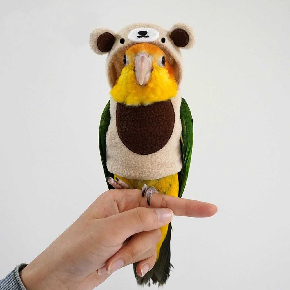Fantasia de Calopsita Fantasia Fofa de Pássaro com Formato de Urso Roupa de Papagaio Quente Capa de Papagaio Roupas de Pássaro Multiuso Cosplay de Papagaio