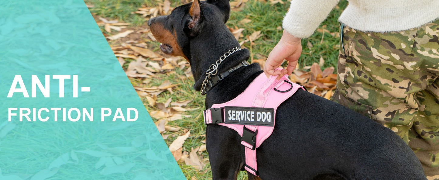 Personalized dog harness custom name tag doberman pinscher breathable adjustable pet harness suitable for medium and large dogs