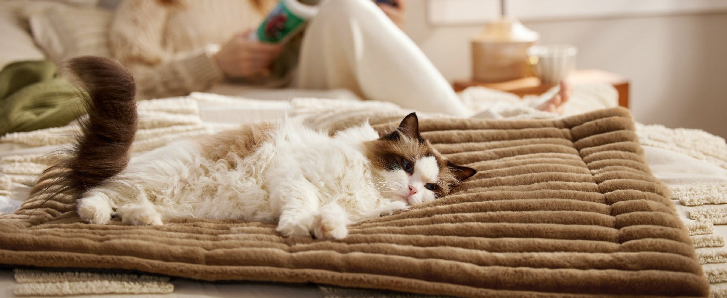 Tapete Autorrequecível para Gatos Pequenos, Almofada Térmica Autorrequecível para Cães, Tapete Térmico Extra Quente para Filhotes, Uso Interno e Externo, Antiderrapante e Lavável