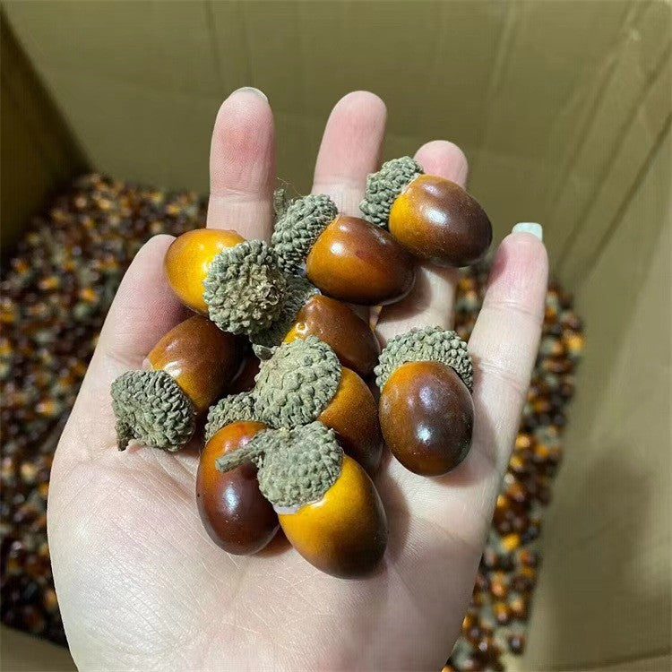 Realistic Artificial Acorns | Mixed Brown Tones Decor for DIY Crafts, Thanksgiving Halloween Christmas Home Party Decorations