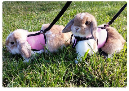 Conjunto de coleira e colete para coelhos, colete respirável para coelhos, furões, porquinhos-da-índia, esquilos, coleira macia e ajustável para animais de estimação pequenos