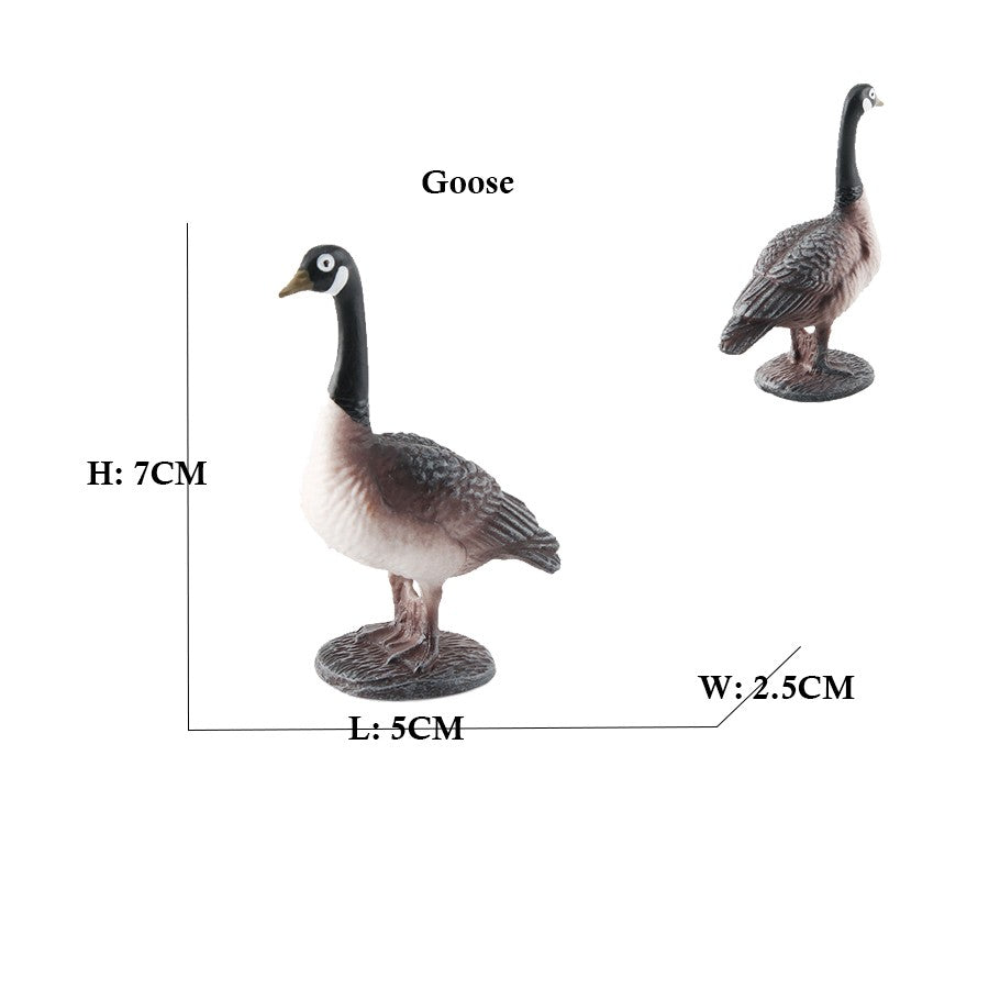 Coruja Flamingo Peru Tucano Seahawk Modelo Animais Estatuetas Plástico Pássaro Brinquedo Boneco de Ação Aventuras na Selva Presentes para Crianças Zoológico da Floresta