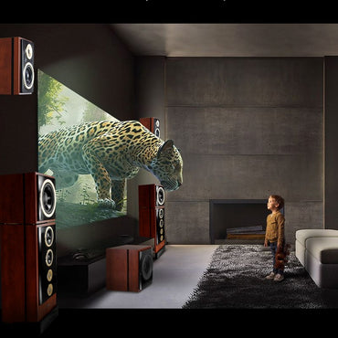 HAX198 home theater flagship 5.1 premium speaker set home living room audio home theater