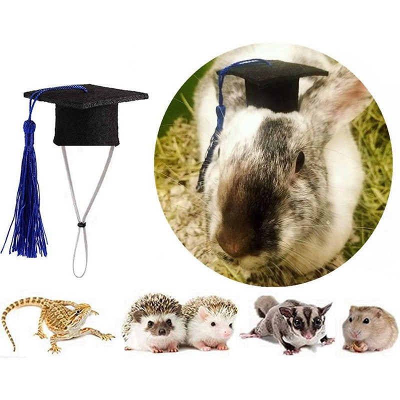 Chapéu de Formatura Pequeno Animal Mini Chapéu de Bacharel com Borla Boné de Estimação Fofo Gravata Borboleta para Gatinho Hamster Acessório de Fantasia para Fotos