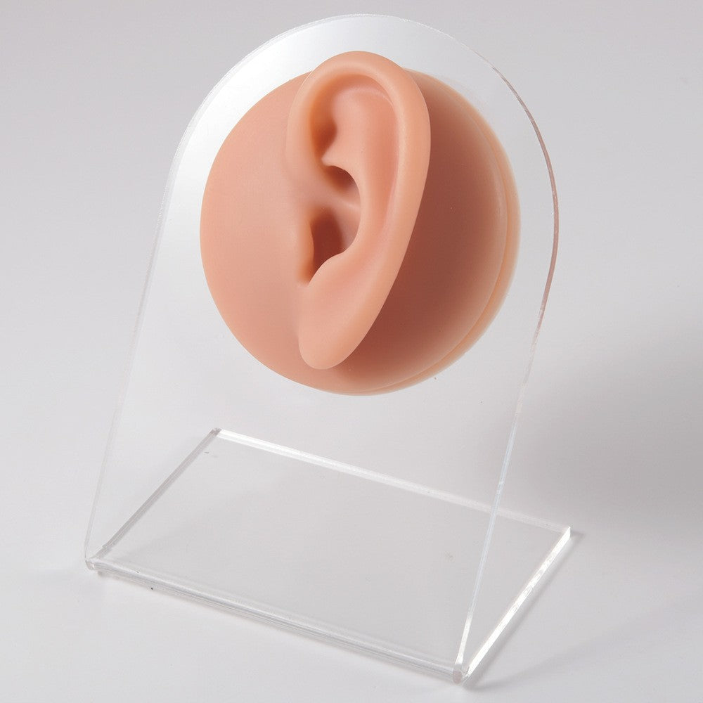 1PC Soft Silicone Simulation 1:1 Ear Nose Navel Nipple Model Practice Piercings Tools Jewelry Display Teaching Tool Accessories