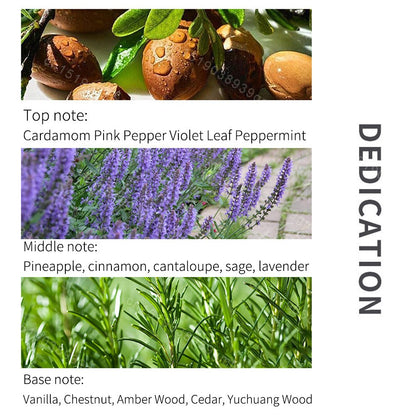 Brand Original Men' Charm Perfume High Quality Mixed Woody Floral Spray Sexy Charming Light Perfume Long-Lasting Rich Fragrance