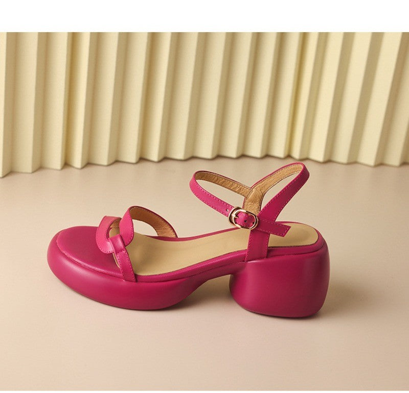 Designer New Women's Sandals 2025 New Fashion High Heels Summer Outdoor Beach Shoes Mary Jane Women Open Toed Thick Heel Sandals