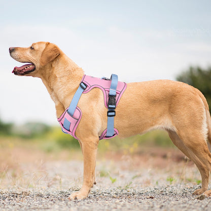 Colete para Cães com Arnês Respirável em Malha, Colete Refletivo de Nylon para Cães, Colete Durável para Treinamento de Animais de Estimação, Ajustável para Cães Pequenos, Médios e Grandes