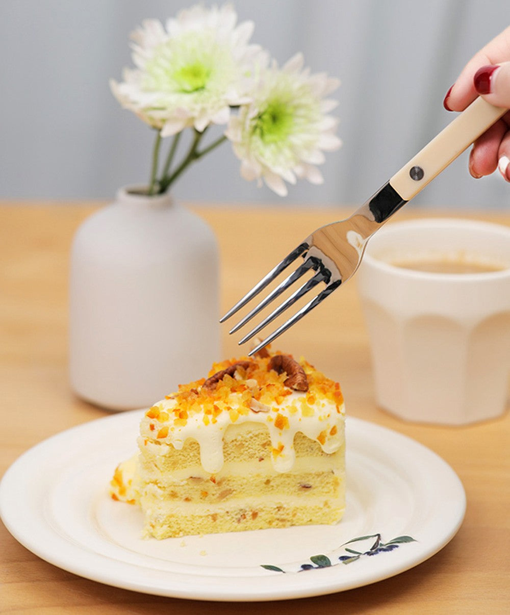 Conjuntos de Talheres de Design Moderno Espelhamento Superior Aço Inoxidável 18/8(304) Cabo ABS com Rebites Jogo de Talheres para Cozinha