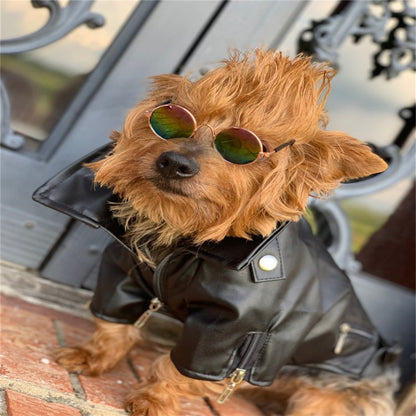 Casaco de Cachorro Padrão Águia Gloriosa Jaqueta de Couro PU Macio Impermeável para Exterior Roupas da Moda para Cães Pequenos (XXS-XXL)
