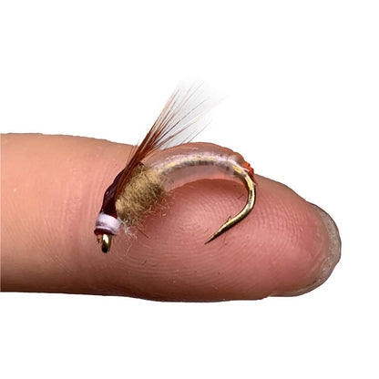 Iscas de Pesca-6/9 Peças/Caixa Ninfa Realista Isca de Camarão para Pesca de Truta Isca Artificial