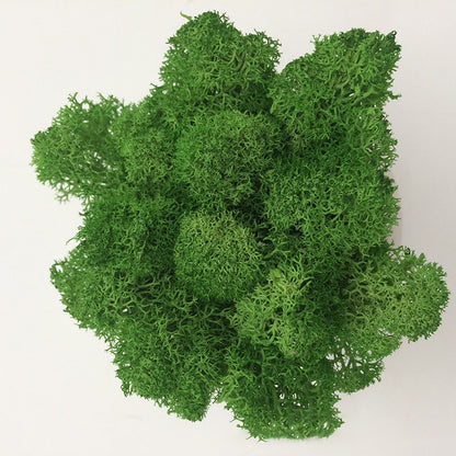 200/1000g Quality Artificial Green Plant Eternal Life Moss Fake Flower Moss Grass Home Living Decorative Wall DIY Micro Landscap