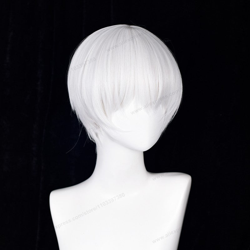 2B 9S  Cosplay Synthetic Wig White Synthetic Women Man Wig Heat Resistant Hair High Quality Wigs
