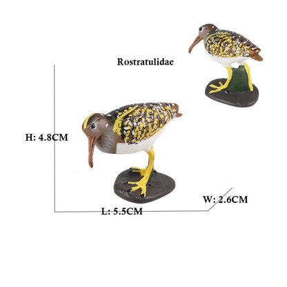 Coruja Flamingo Peru Tucano Seahawk Modelo Animais Estatuetas Plástico Pássaro Brinquedo Boneco de Ação Aventuras na Selva Presentes para Crianças Zoológico da Floresta