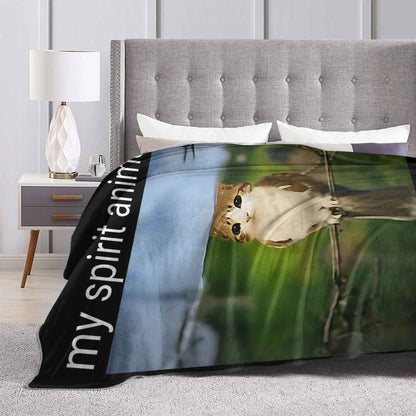 Minha Coberta Engraçada do Meme "Meowl" de Animal Espiritual, Super Quente, Gato, Coruja, Meme, "Brainrot", Manta para Viagem de Inverno, Sofá, Cama, Colcha