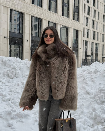 Winter Women Warm Faux Fur Coats Fashion Browns Long Sleeve Stand Collar Short Jackets 2025 Lady High Street Commute Outerwear