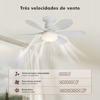 Ceiling Fan Lamp, Ceiling Fan With Led, Ceiling Fan Lamp, Ceiling Lamp, From Brazil