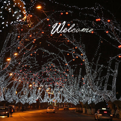 5M 10M 20M 30M 50M 100M Waterproof Outdoor 110V/220V LED String Light For Christmas Tree New Year Weeding String Lamp