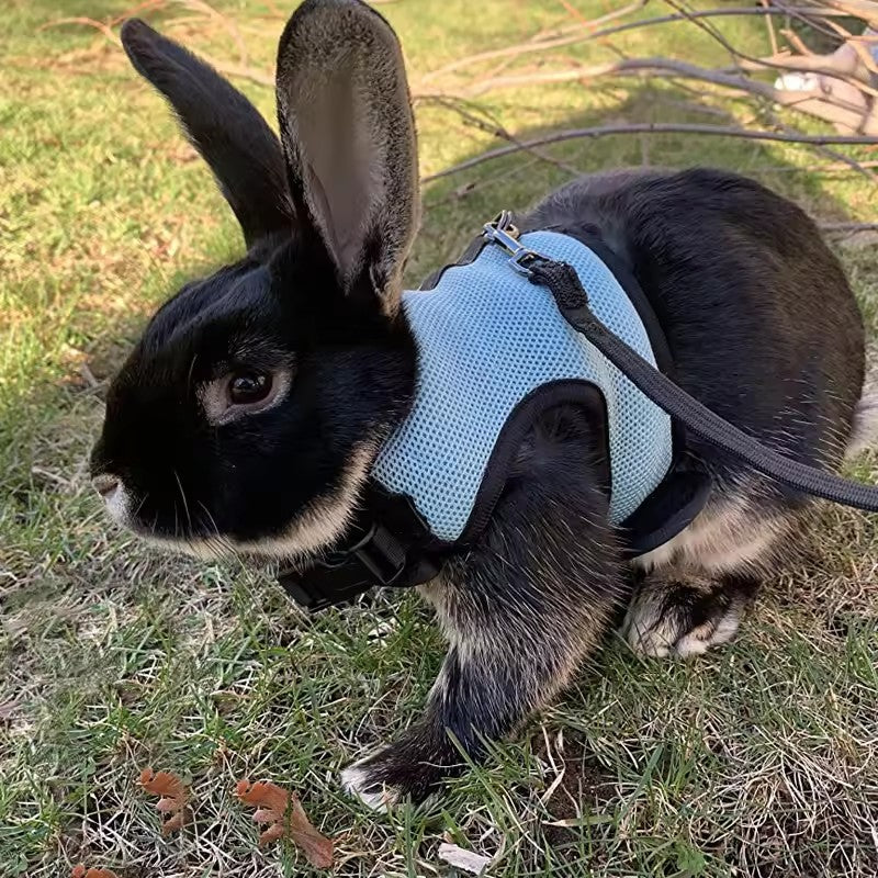 Arreio estilo colete para animais de estimação, respirável e estiloso, com alça macia ajustável e conjunto de coleira elástica, adequado para coelhos e gatos