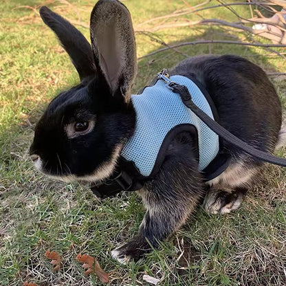 Arreio estilo colete para animais de estimação, respirável e estiloso, com alça macia ajustável e conjunto de coleira elástica, adequado para coelhos e gatos