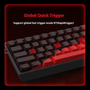Hot Sale MADLIONS MAD60HE Magnetic Switch Keyboard Mechanical Keyboard 8000Hz 0.01mmRT Wired Custom Valorant Gaming Keyboard