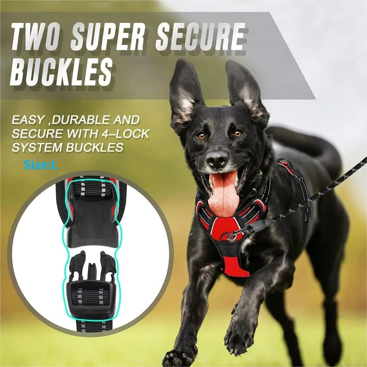 Coleiras de Cachorro Guias Grandes Coletes Loja de Animais Tudo para Cães Acessórios de Couro para Filhotes Médio Pequeno Kit