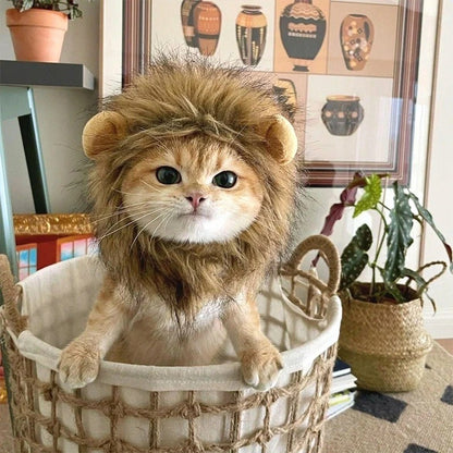 Chapéu de Gato Bonito Gorro de Leão Elástico de Outono Inverno Chapéu para Animais de Estimação Acessórios para Fotos de Gatinhos Decoração Acessórios para Gatos