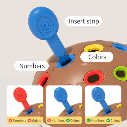 Hedgehog Montessori Baby Toys Hand-eye Coordination Fine Motor Training Develop Concentration Children Sensory Educational Toy