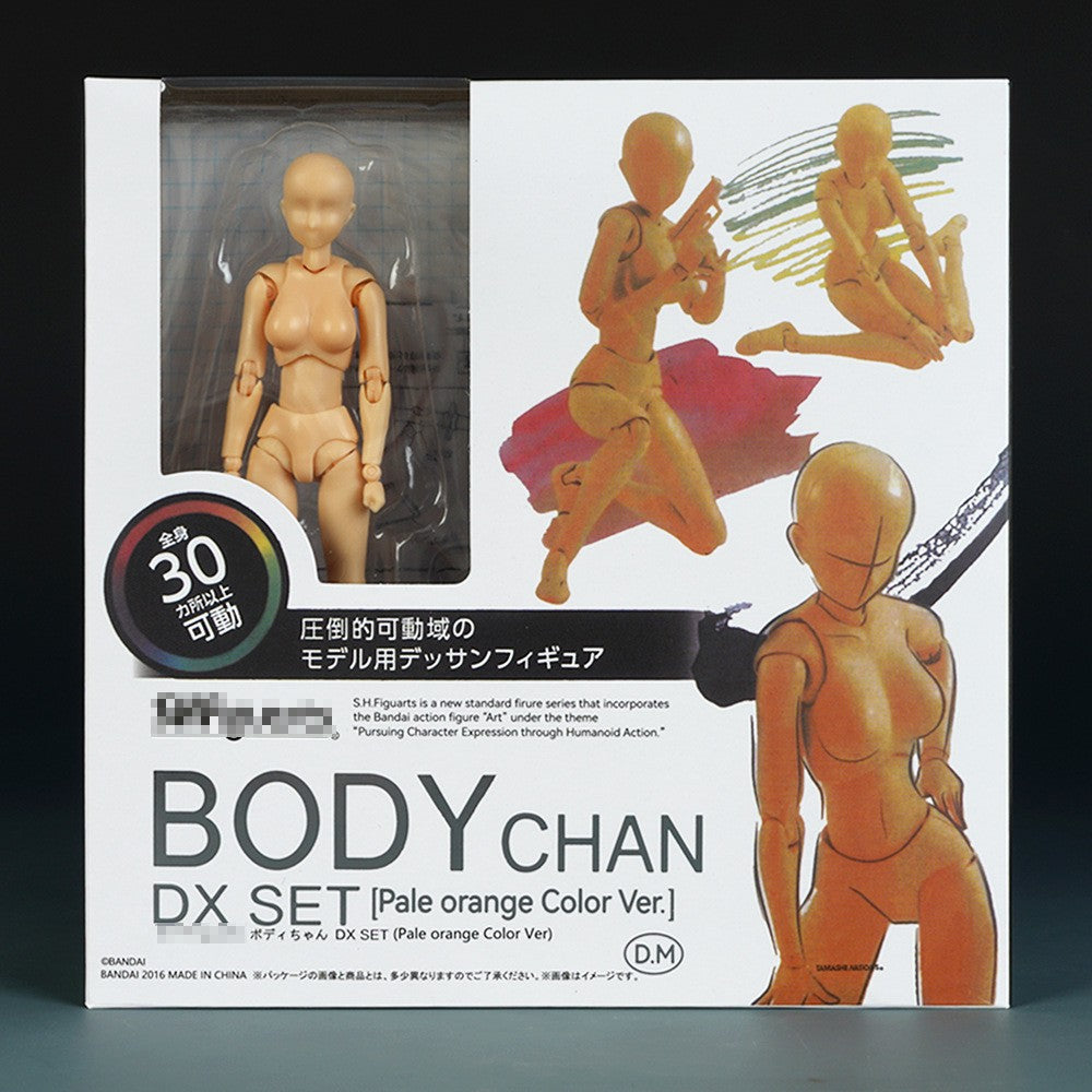 Esboço Desenho Masculino Feminino Corpo Articulável Kun Body Chan Dor nas Articulações Figura de Anime SHF Boneco Articulado Modelo de Brinquedo Desenho Manequim