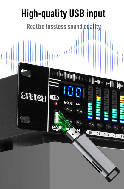 EQ31SUB Digital Equalizer 31 Stage Tuner Professional Stage Performance Noise Reduction Audio Processing