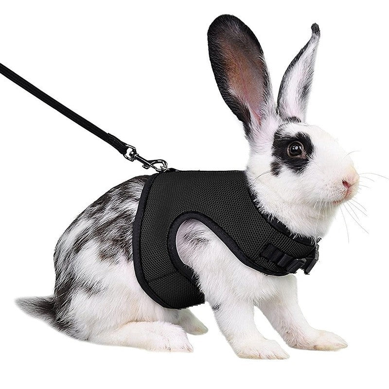 Conjunto de coleira e colete para coelhos, colete respirável para coelhos, furões, porquinhos-da-índia, esquilos, coleira macia e ajustável para animais de estimação pequenos
