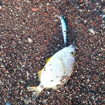 Isca de Pesca de Truta Hunthouse Isca Rígida Sinking Jerkbait 70/80/105mm 7/8.5/18.5g Artist Minnow Isca de Pesca Marinha Twitch Para Robalo