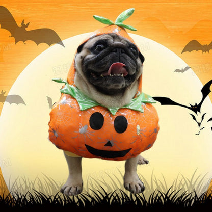 Roupas Engraçadas para Cães, Fantasias para Gatos de Estimação, Moletom para Cachorros, Roupa para Ficar em Pé, Roupas de Cosplay para Cães, Roupas para Festas e Festivais, Acessórios para Cães