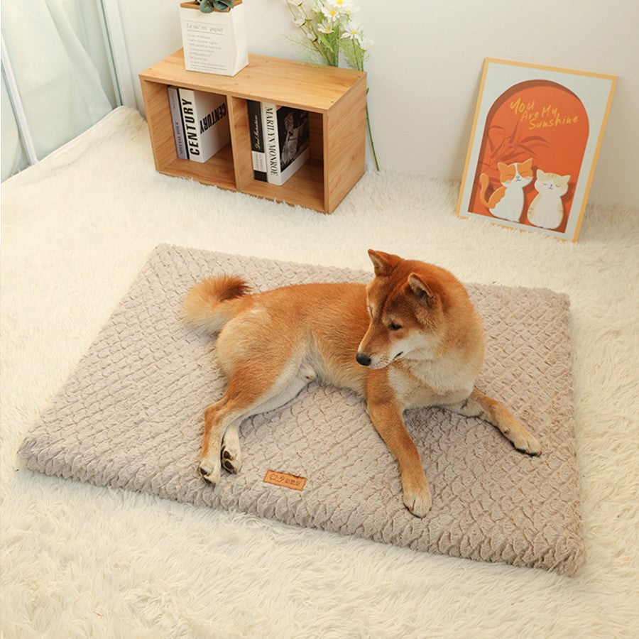 Cama para Animais de Estimação de Pelúcia Curta Removível e Lavável, Cama para Cães de Alta Elasticidade que Não Deforma, Adequada para Cães e Gatos de Pequeno e Médio Porte
