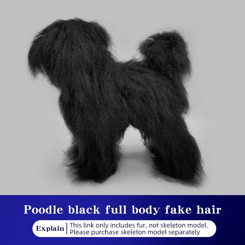 Simulador de pelos de animais de estimação beleza falsa esteticista praticando poodle padrão esqueleto de corpo inteiro modelo de cachorro para tosa