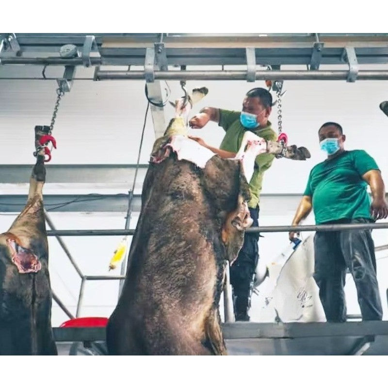 Modern Design Halal Cattle Abattoir Dressing Line Plant Butcher Machinery Beef Slaughterhouse Equipment Cow Slaughter Machine