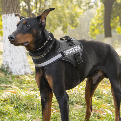 Peitoral Para Cachorro Sem Puxar, Refletivo, Ajustável, Sem Sufocamento, Colete Para Animais De Estimação Com Alça Para Fácil