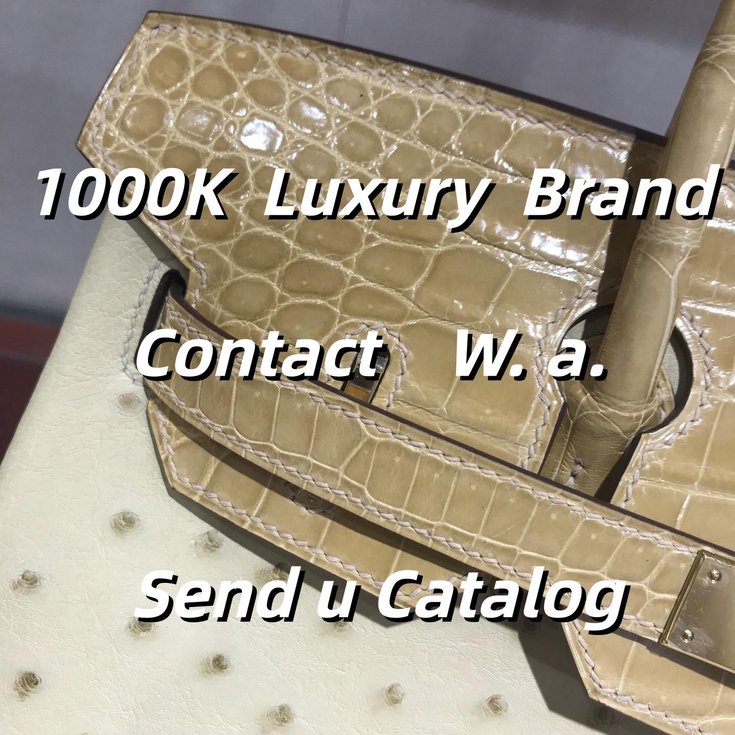 Bags For Woman 2025 New Luxury handbag Luxurious Luxury Female Bag Soft Leather Trendy  women's shoulder bag slanted body